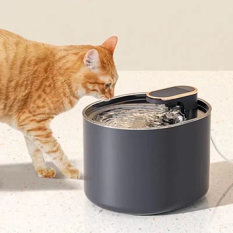 Pet Water Dispenser With Replacement Filter
